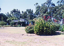 Berry_Farm-3