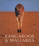 Kangaroo