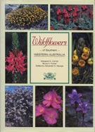 wildflowers
