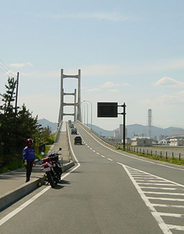 Y勴