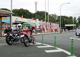 SA