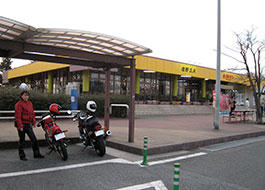 SA
