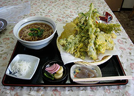 VՂ炻