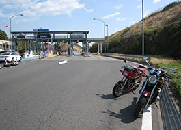 mcIC