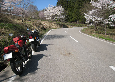 K131EԂC